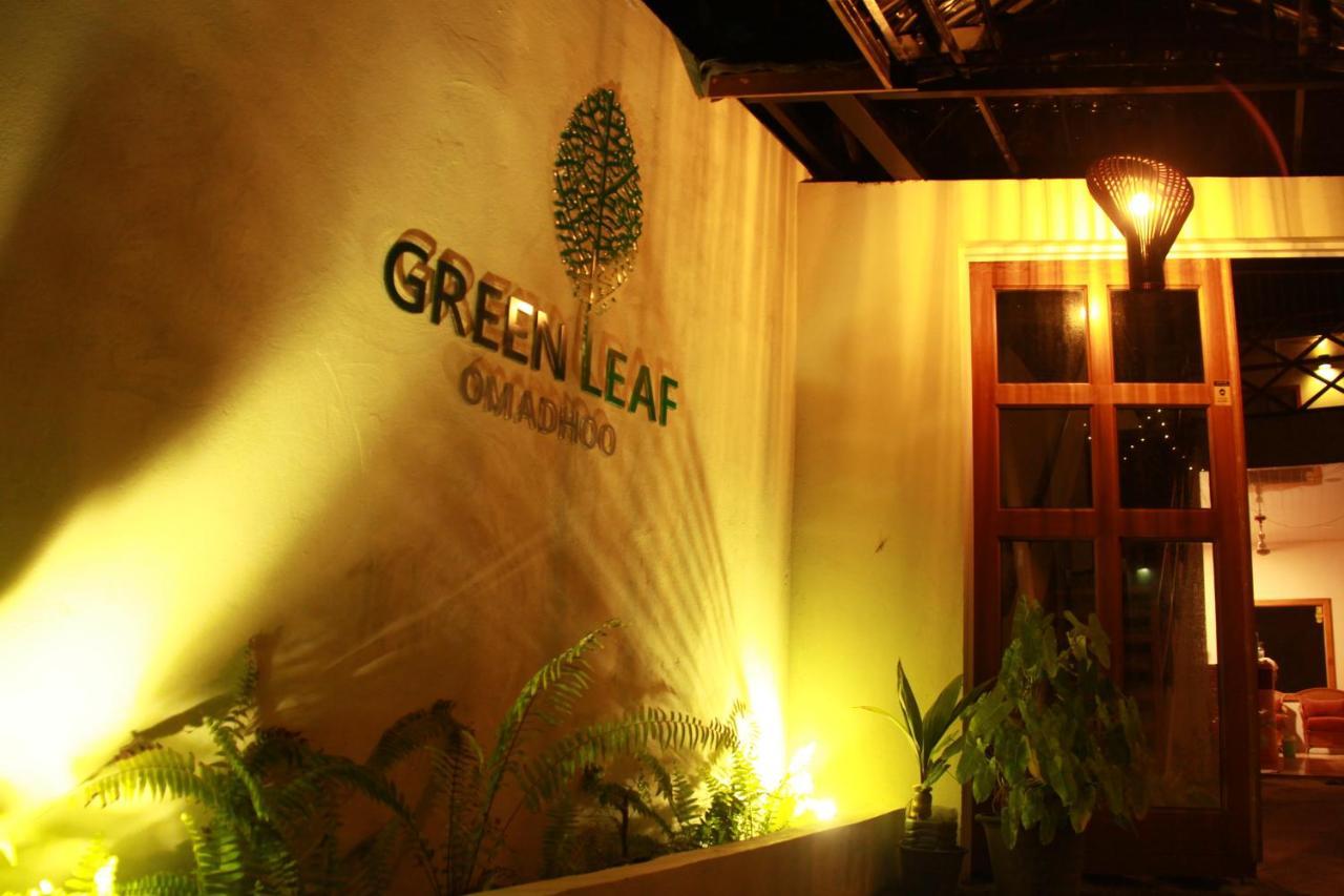 Green Leaf Guest House - Omadhoo Экстерьер фото