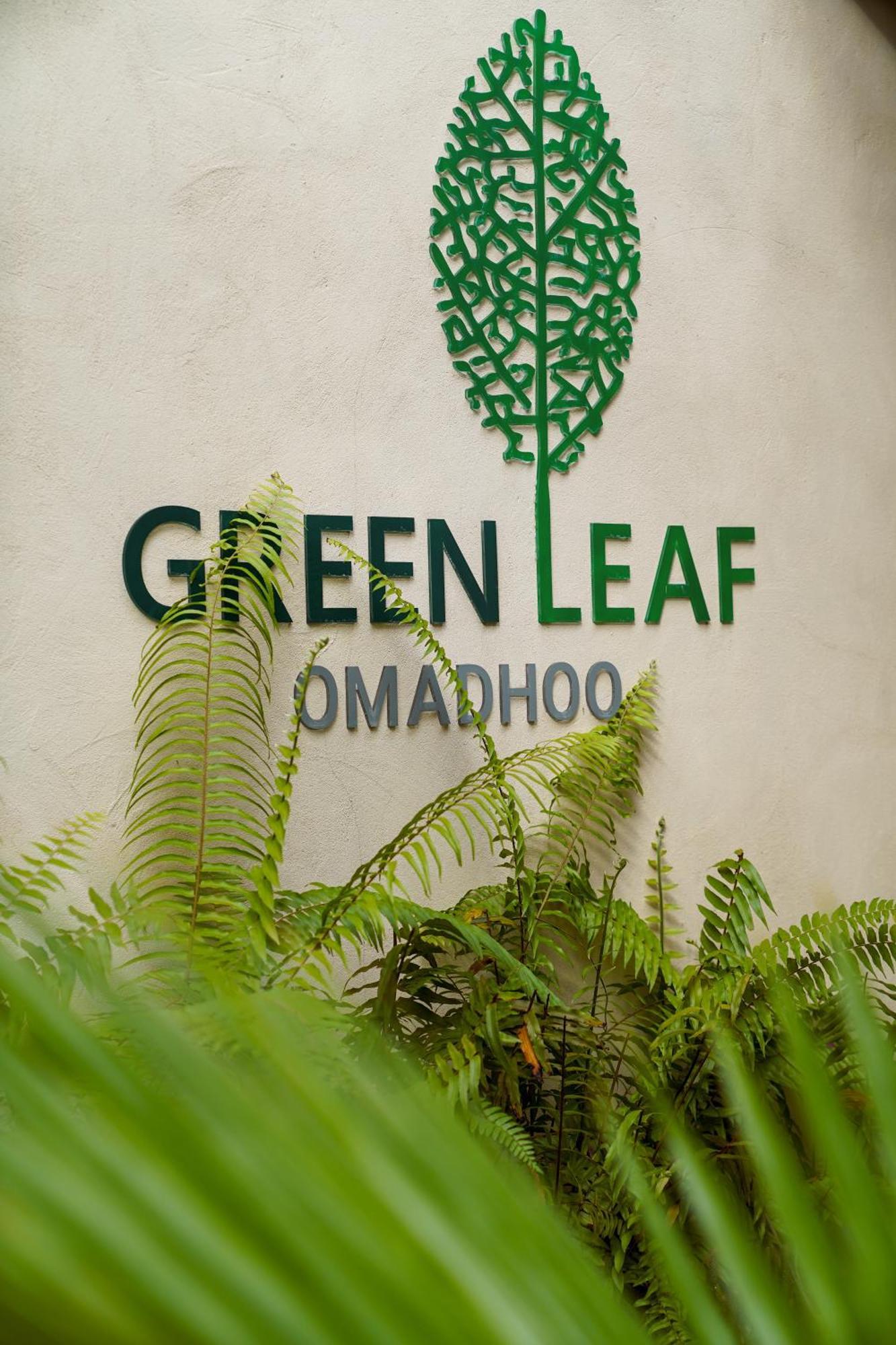 Green Leaf Guest House - Omadhoo Экстерьер фото